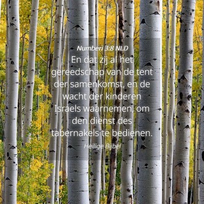 Picture 04 - Numberi 3:8 NLD - En dat zij al het gereedschap van de tent der - Bible Verse Picture