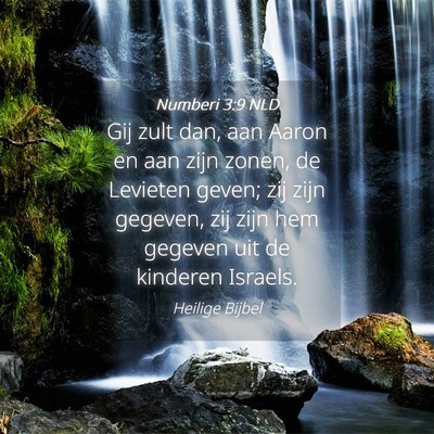 Picture 04 - Numberi 3:9 NLD - Gij zult dan, aan Aaron en aan zijn zonen, de - Bible Verse Picture