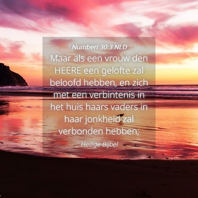 Picture 04 - Numberi 30:3 NLD - Maar als een vrouw den HEERE een gelofte zal - Bible Verse Picture