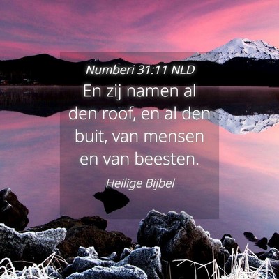 Picture 04 - Numberi 31:11 NLD - En zij namen al den roof, en al den buit, van - Bible Verse Picture