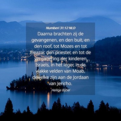 Picture 04 - Numberi 31:12 NLD - Daarna brachten zij de gevangenen, en den buit, - Bible Verse Picture