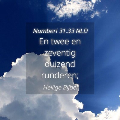 Picture 04 - Numberi 31:33 NLD - En twee en zeventig duizend - Bible Verse Picture