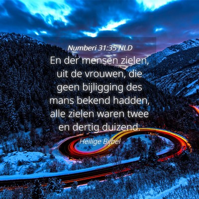 Picture 04 - Numberi 31:35 NLD - En der mensen zielen, uit de vrouwen, die geen - Bible Verse Picture