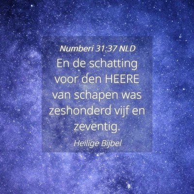 Picture 04 - Numberi 31:37 NLD - En de schatting voor den HEERE van schapen was - Bible Verse Picture