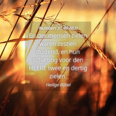 Picture 04 - Numberi 31:40 NLD - En der mensen zielen waren zestien duizend, en - Bible Verse Picture