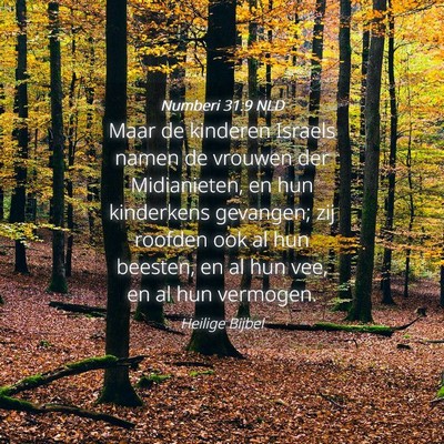 Picture 04 - Numberi 31:9 NLD - Maar de kinderen Israels namen de vrouwen der - Bible Verse Picture