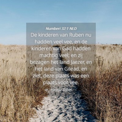 Picture 04 - Numberi 32:1 NLD - De kinderen van Ruben nu hadden veel vee, en de - Bible Verse Picture
