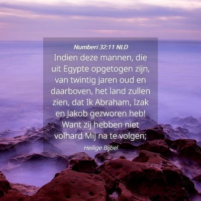 Picture 04 - Numberi 32:11 NLD - Indien deze mannen, die uit Egypte opgetogen - Bible Verse Picture
