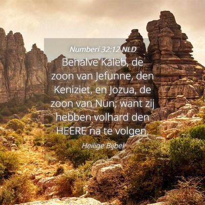 Picture 04 - Numberi 32:12 NLD - Behalve Kaleb, de zoon van Jefunne, den Keniziet, - Bible Verse Picture