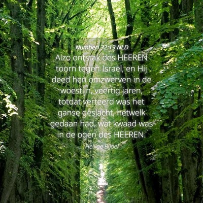 Picture 04 - Numberi 32:13 NLD - Alzo ontstak des HEEREN toorn tegen Israel, en - Bible Verse Picture