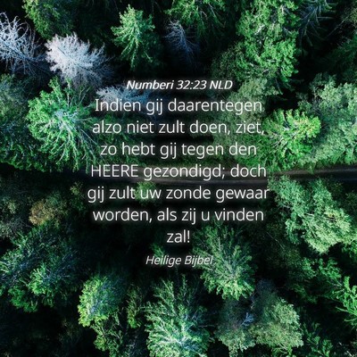 Picture 04 - Numberi 32:23 NLD - Indien gij daarentegen alzo niet zult doen, ziet, - Bible Verse Picture
