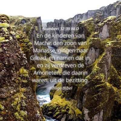 Picture 04 - Numberi 32:39 NLD - En de kinderen van Machir, den zoon van Manasse, - Bible Verse Picture