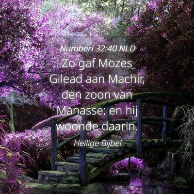 Picture 04 - Numberi 32:40 NLD - Zo gaf Mozes Gilead aan Machir, den zoon van - Bible Verse Picture