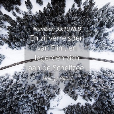 Picture 04 - Numberi 33:10 NLD - En zij verreisden van Elim, en legerden zich aan - Bible Verse Picture