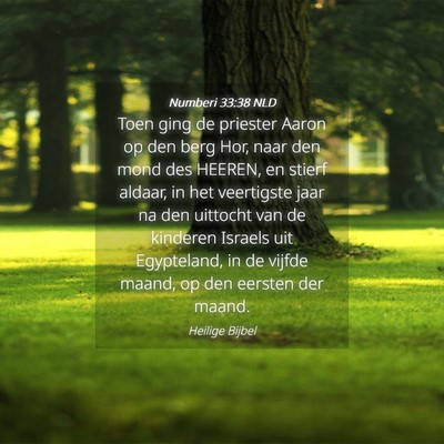 Picture 04 - Numberi 33:38 NLD - Toen ging de priester Aaron op den berg Hor, naar - Bible Verse Picture