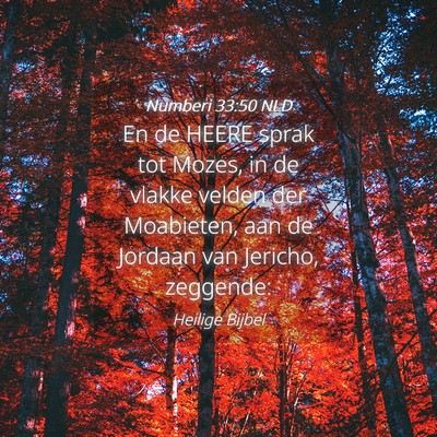 Picture 04 - Numberi 33:50 NLD - En de HEERE sprak tot Mozes, in de vlakke velden - Bible Verse Picture