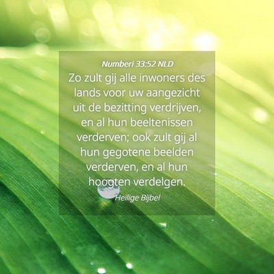 Picture 04 - Numberi 33:52 NLD - Zo zult gij alle inwoners des lands voor uw - Bible Verse Picture
