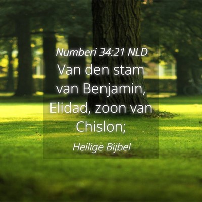 Picture 04 - Numberi 34:21 NLD - Van den stam van Benjamin, Elidad, zoon van - Bible Verse Picture