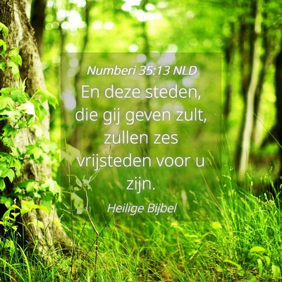 Picture 04 - Numberi 35:13 NLD - En deze steden, die gij geven zult, zullen zes - Bible Verse Picture