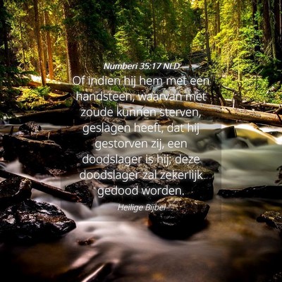 Picture 04 - Numberi 35:17 NLD - Of indien hij hem met een handsteen, waarvan met - Bible Verse Picture