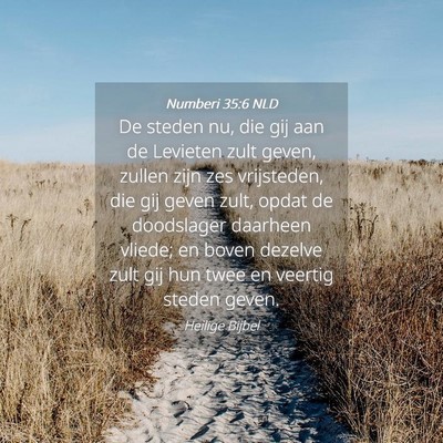 Picture 04 - Numberi 35:6 NLD - De steden nu, die gij aan de Levieten zult geven, - Bible Verse Picture