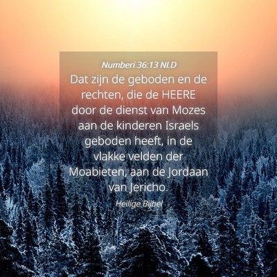 Picture 04 - Numberi 36:13 NLD - Dat zijn de geboden en de rechten, die de HEERE - Bible Verse Picture