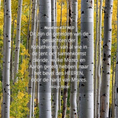 Picture 04 - Numberi 4:37 NLD - Dit zijn de getelden van de geslachten der - Bible Verse Picture