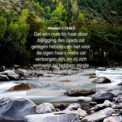 Picture 04 - Numberi 5:13 NLD - Dat een man bij haar door bijligging des zaads - Bible Verse Picture