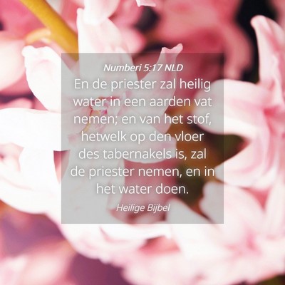 Picture 04 - Numberi 5:17 NLD - En de priester zal heilig water in een aarden vat - Bible Verse Picture