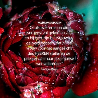 Picture 04 - Numberi 5:30 NLD - Of als over en man die ijvergeest zal gekomen - Bible Verse Picture
