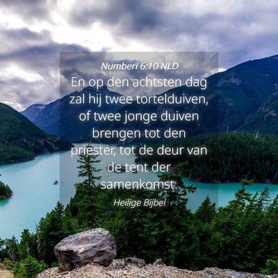 Picture 04 - Numberi 6:10 NLD - En op den achtsten dag zal hij twee tortelduiven, - Bible Verse Picture