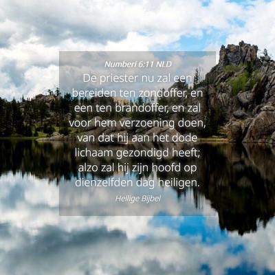 Picture 04 - Numberi 6:11 NLD - De priester nu zal een bereiden ten zondoffer, en - Bible Verse Picture
