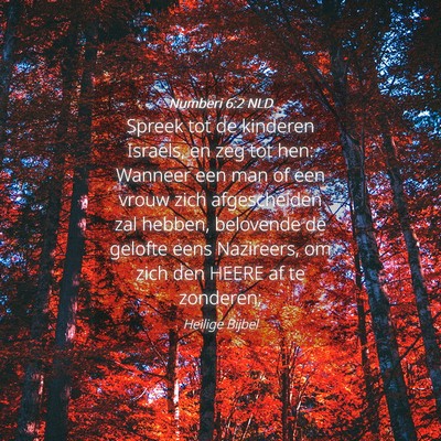 Picture 04 - Numberi 6:2 NLD - Spreek tot de kinderen Israels, en zeg tot hen: - Bible Verse Picture