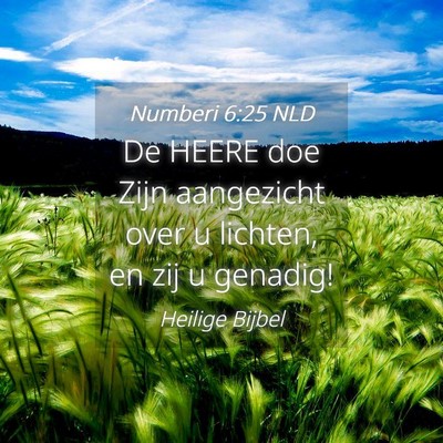 Picture 04 - Numberi 6:25 NLD - De HEERE doe Zijn aangezicht over u lichten, en - Bible Verse Picture