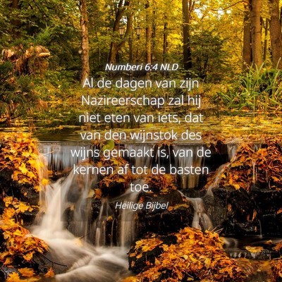 Picture 04 - Numberi 6:4 NLD - Al de dagen van zijn Nazireerschap zal hij niet - Bible Verse Picture