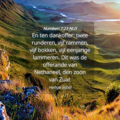 Picture 04 - Numberi 7:23 NLD - En ten dankoffer: twee runderen, vijf rammen, - Bible Verse Picture