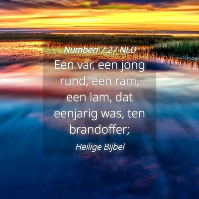 Picture 04 - Numberi 7:27 NLD - Een var, een jong rund, een ram, een lam, dat - Bible Verse Picture