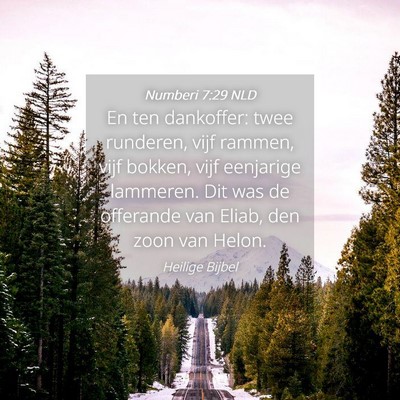 Picture 04 - Numberi 7:29 NLD - En ten dankoffer: twee runderen, vijf rammen, - Bible Verse Picture