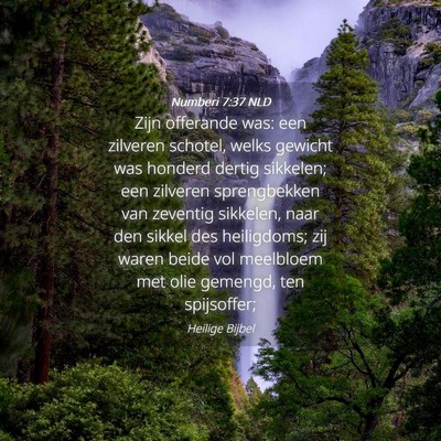 Picture 04 - Numberi 7:37 NLD - Zijn offerande was: een zilveren schotel, welks - Bible Verse Picture