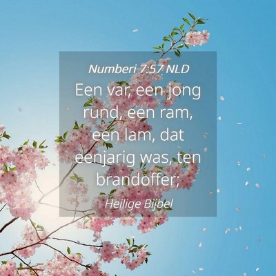 Picture 04 - Numberi 7:57 NLD - Een var, een jong rund, een ram, een lam, dat - Bible Verse Picture