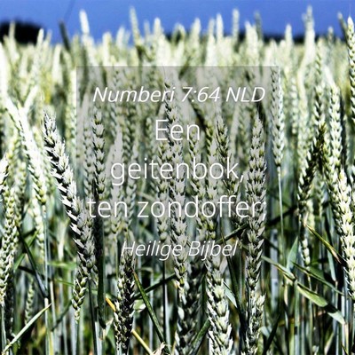 Picture 04 - Numberi 7:64 NLD - Een geitenbok, ten - Bible Verse Picture