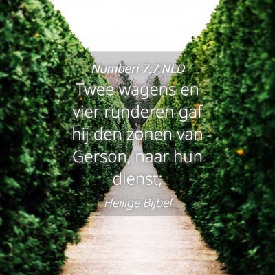 Picture 04 - Numberi 7:7 NLD - Twee wagens en vier runderen gaf hij den zonen - Bible Verse Picture