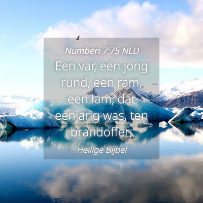 Picture 04 - Numberi 7:75 NLD - Een var, een jong rund, een ram, een lam, dat - Bible Verse Picture