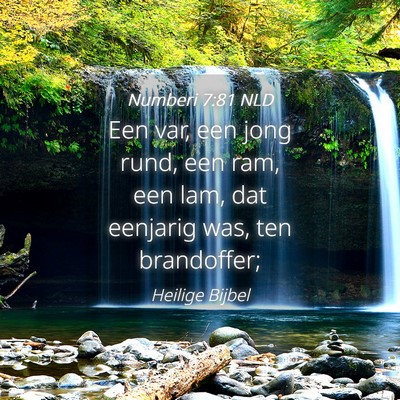 Picture 04 - Numberi 7:81 NLD - Een var, een jong rund, een ram, een lam, dat - Bible Verse Picture