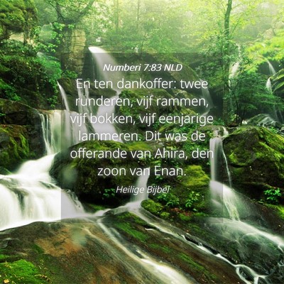 Picture 04 - Numberi 7:83 NLD - En ten dankoffer: twee runderen, vijf rammen, - Bible Verse Picture