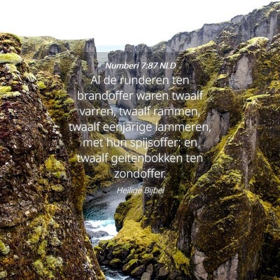 Picture 04 - Numberi 7:87 NLD - Al de runderen ten brandoffer waren twaalf - Bible Verse Picture