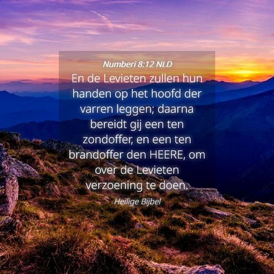Picture 04 - Numberi 8:12 NLD - En de Levieten zullen hun handen op het hoofd der - Bible Verse Picture