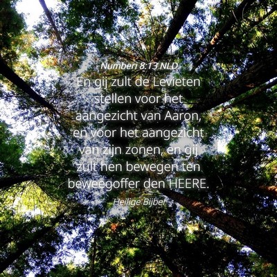 Picture 04 - Numberi 8:13 NLD - En gij zult de Levieten stellen voor het - Bible Verse Picture