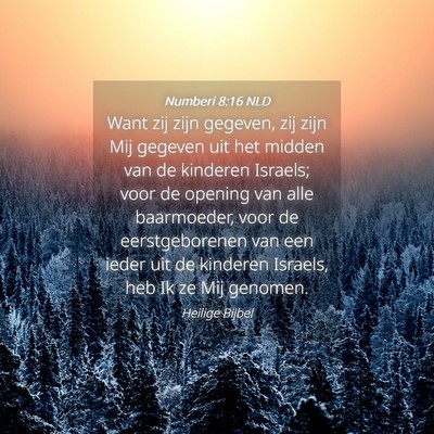Picture 04 - Numberi 8:16 NLD - Want zij zijn gegeven, zij zijn Mij gegeven uit - Bible Verse Picture