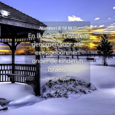 Picture 04 - Numberi 8:18 NLD - En Ik heb de Levieten genomen voor alle - Bible Verse Picture